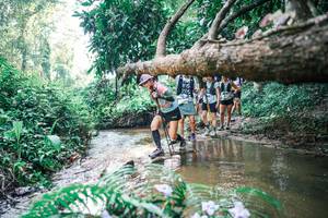 BIB: 
                            <button type="button" onclick="openModal(25461036)" class="btn btn-primary btn-sm float-right btn-popup" data-toggle="modal" data-target=".modal-high-quality">
                        <i class="fas fa-shopping-cart"></i> Add to Cart
                    </button>
                                            <button type="button" onclick="isThisMe(25461036, true)" class="btn btn-success btn-sm float-right btn-popup btn-isme hidden" data-toggle="tooltip" data-placement="bottom" title="นี่คือรูปของคุณใช่ไหม คลิกที่นี่เพื่อเอาเข้าอัลบั้ม">
                        <i class="fas fa-plus"></i> Add to album
                    </button>
                    <button type="button" onclick="isThisMe(25461036, false)" class="btn btn-warning btn-sm float-right btn-popup btn-isnotme hidden">
                        <i class="fas fa-ban"></i> Remove from album
                    </button>